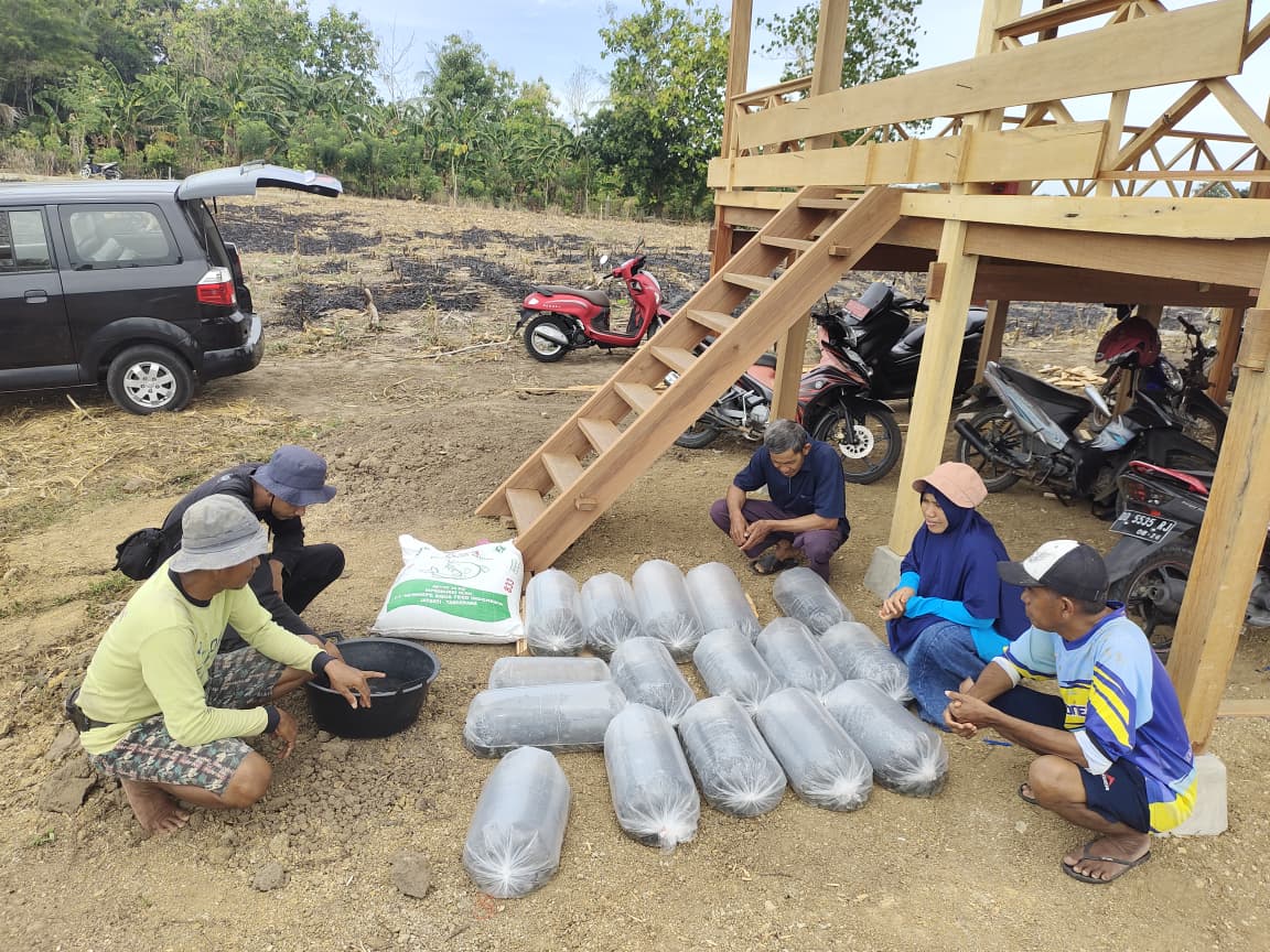 Pemerintah Desa Mario Tebar 5.000 Bibit Ikan Nila di Kolam BUMDes Bukit Tanete