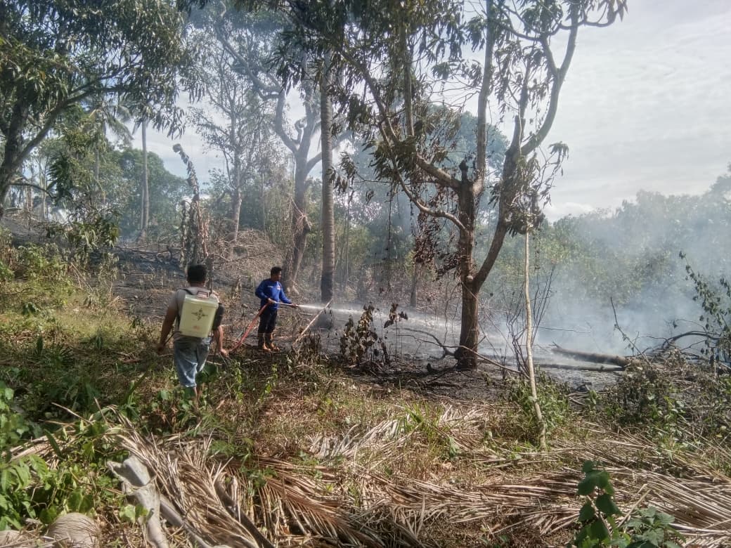 Kebakaran Lahan Terjadi di Desa Mario, Pemdes Bersama Masyarakat dan Damkar Lakukan Pemadaman